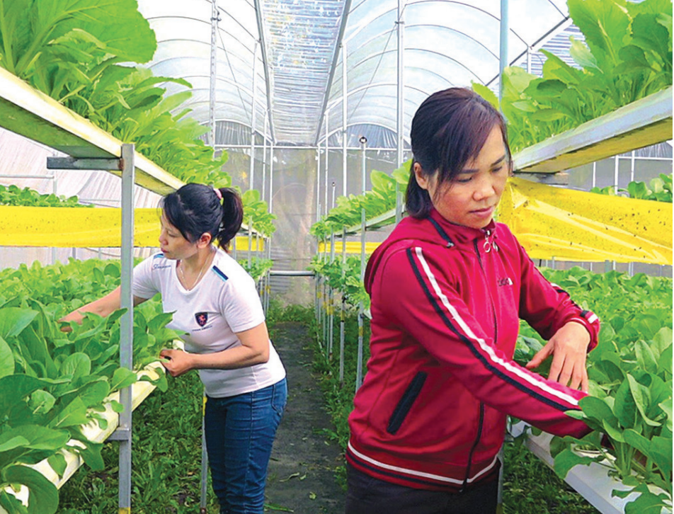 Nếu không cho HTX có quyền định đoạt thì không thể gọi tài sản thuộc quyền sở hữu của HTX.