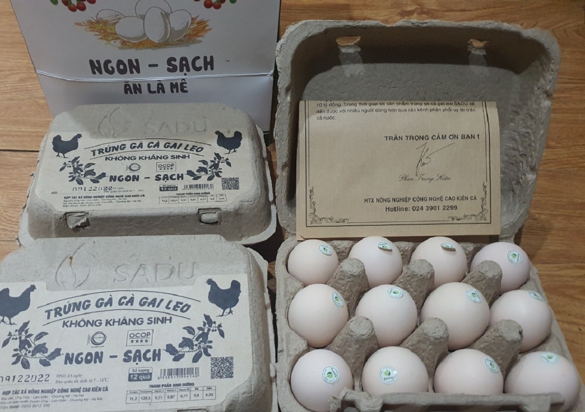 Sản phẩm trứng gà cà gai leo của HTX Nông nghiệp công nghệ cao Kiên Cà. (Ảnh: Lê Mạnh)