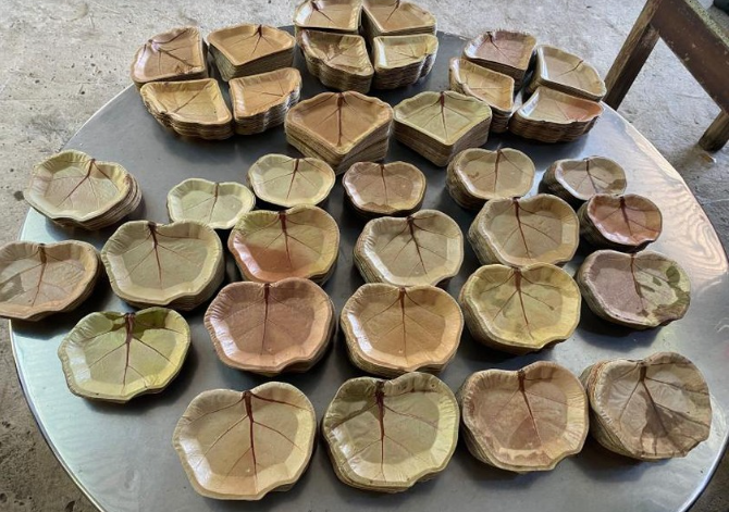 Mỗi chiếc lá nho biển thu được sẽ được đem về phơi khô, rửa sạch, sau đó được đưa vào máy ép nhiệt để cho ra những chiếc đĩa với các hình dáng khác nhau. Mỗi thành phẩm có được đều được phun các lớp khử khuẩn để đảm bảo an toàn cho người sử dụng. Đĩa lá nho biển được dùng để đựng bánh kẹo, trái cây, salad... thay thế cho các đĩa nhựa, xốp gây hại môi trường.