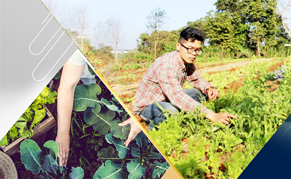 Nguyễn Trọng Trí chấp nhận thử thách lớn để làm nông nghiệp sạch thuần tuý.