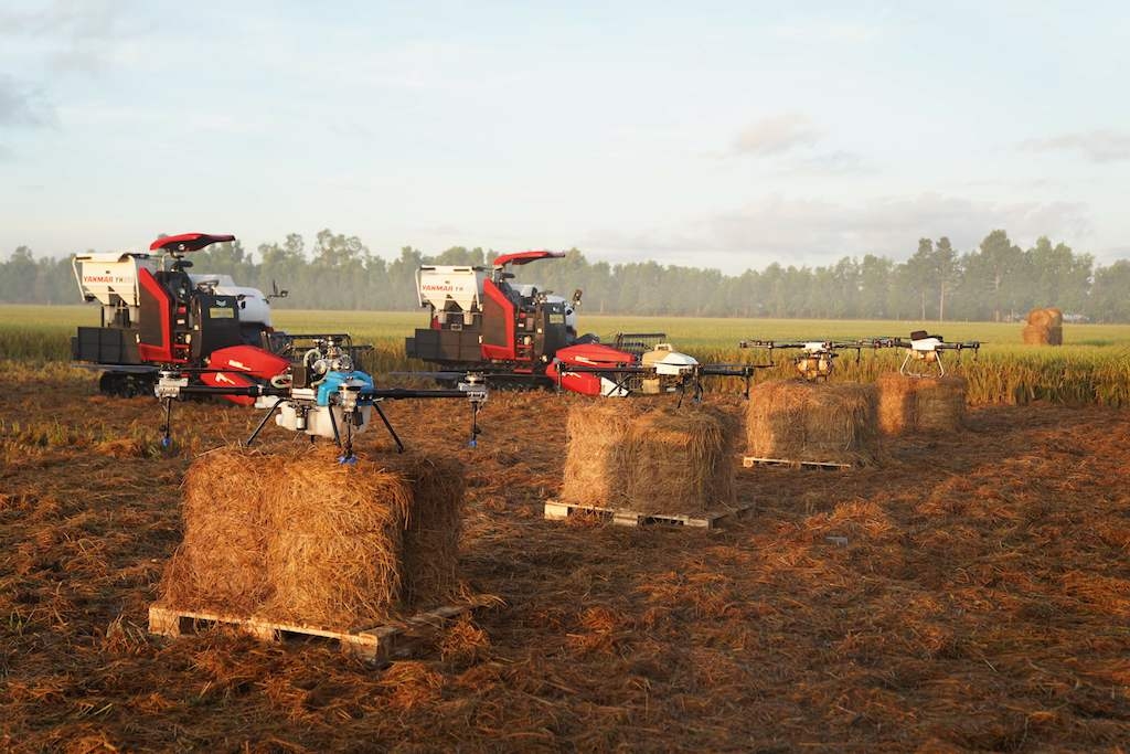 Chuỗi giá trị ngành lúa gạo thế giới đang có những bước phát triển đáng kể từ việc áp dụng kinh tế tuần hoàn với cây lúa, ngay từ những phụ phẩm như rơm, rạ.