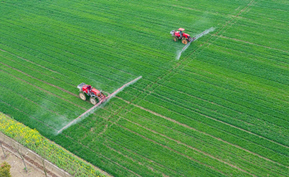 Tích tụ ruộng đất sẽ nâng cao tính hiệu quả của mô hình HTX và giúp ngành nông nghiệp phát triển.