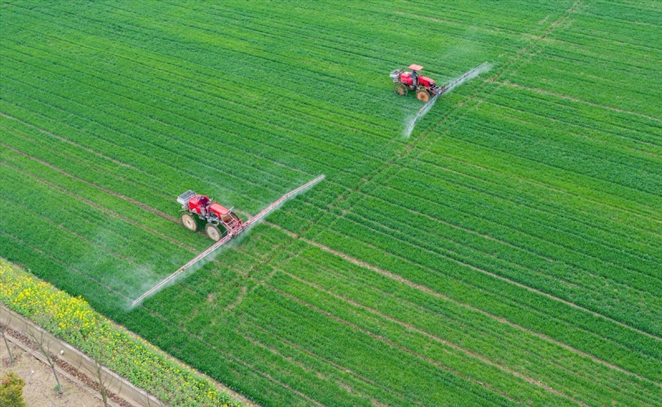 Tích tụ ruộng đất sẽ nâng cao tính hiệu quả của mô hình HTX và giúp ngành nông nghiệp phát triển.