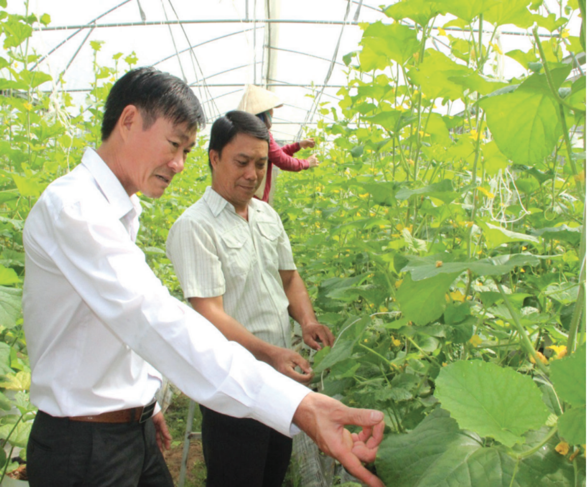 Việc quy định mang tính hỗ trợ ưu tiên thuế cho HTX cần được xem xét kỹ càng để đảm bảo thực hiện đúng theo các quy định chế độ tài chính, hạch toán kế toán của Bộ tài chính.