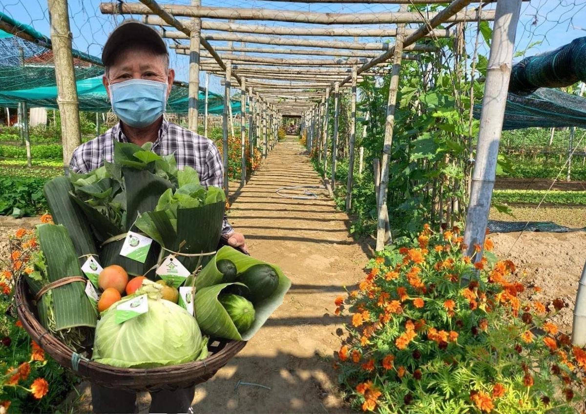 Nông nghiệp hữu cơ mang tới sức khỏe cho cộng đồng.