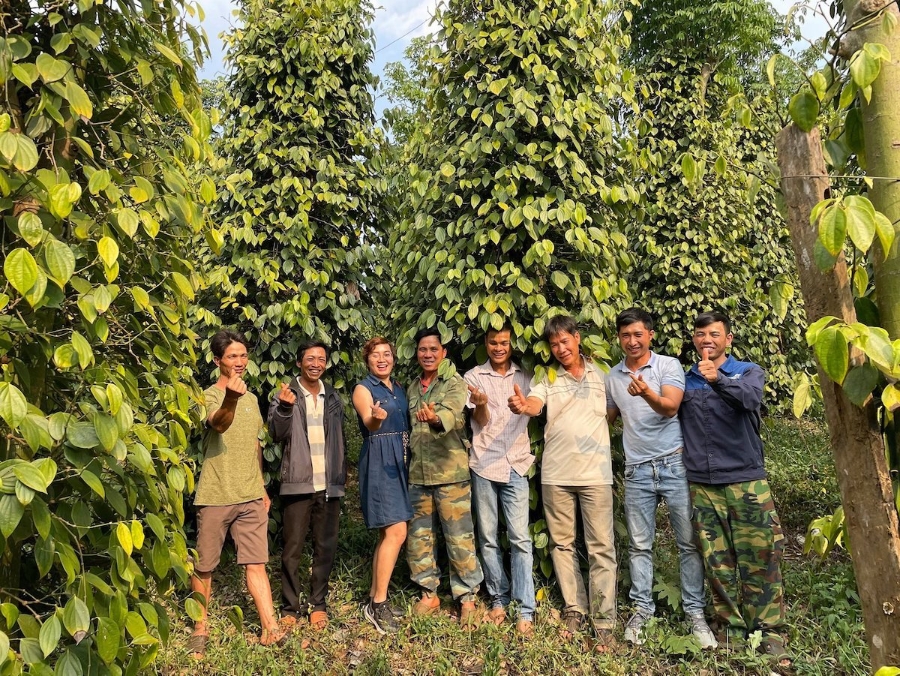 Bà Lê Thị Hoài Thương, Phó Giám đốc Công ty TNHH Hồ tiêu Việt (ở giữa).