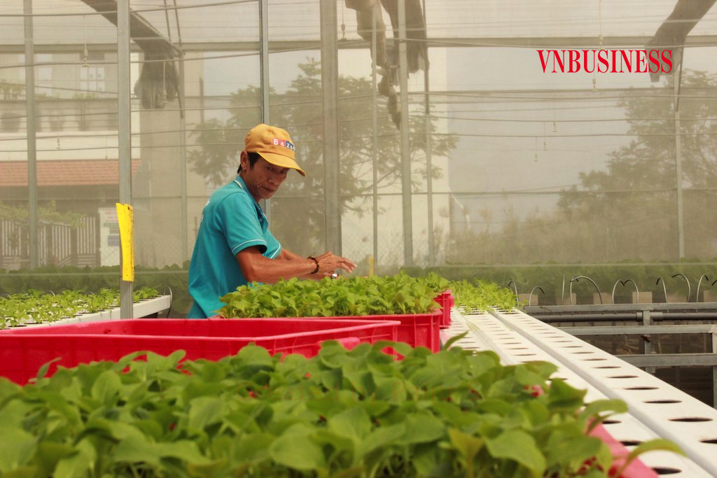 Nông nghiệp tái sinh được kỳ vọng sẽ đem đến một cách tiếp cận tích cực nguồn lương thực trong dài hạn, một cơ hội tái sinh về môi trường, và một tương lai ấm no hơn cho nhà nông.