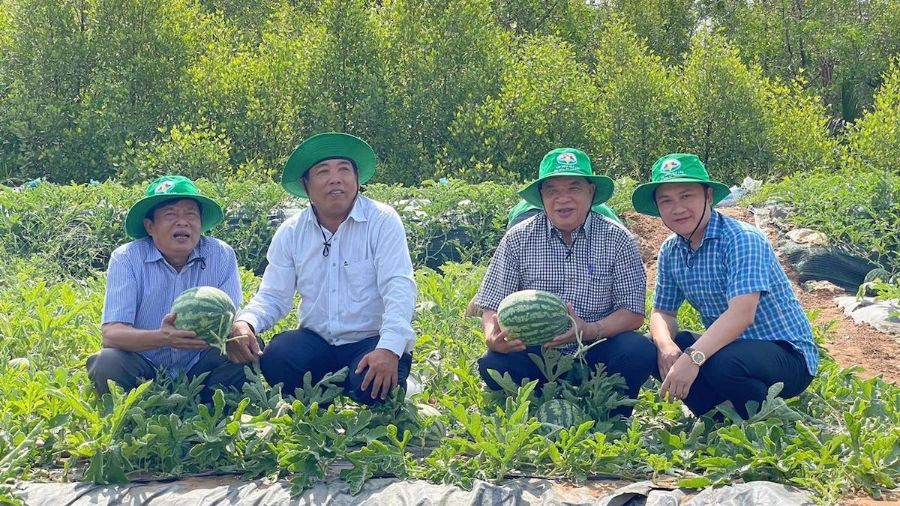 Ở độ tuổi ngoài 70, doanh nhân Nguyễn Hồng Lam (thứ hai từ phải qua) vẫn kiên trì, bền bỉ đi dạy nông dân làm nông nghiệp hữu cơ.