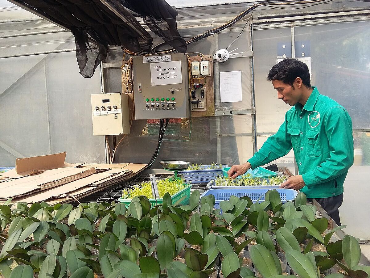 Nghiên cứu khoa học và phát triển nông nghiệp chưa thực sự phát triển nên người dân, HTX còn gặp khó khăn trong ứng dụng công nghệ, phát triển chuỗi giá trị.