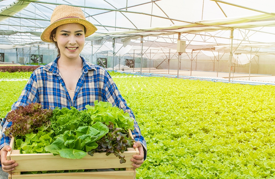 Nếu có những sửa đổi, bổ sung, hướng dẫn cụ thể , kịp thời thì Quỹ hỗ trợ phát triển HTX tiếp tục là kênh tín dụng hiệu quả cho khu vực kinh tế tập thể.