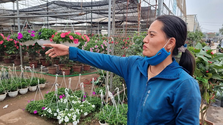 Chị Lê Thị Thu, chủ một nhà vườn chia sẻ, cửa hàng mới bán được 2/3 số hoa trong vườn