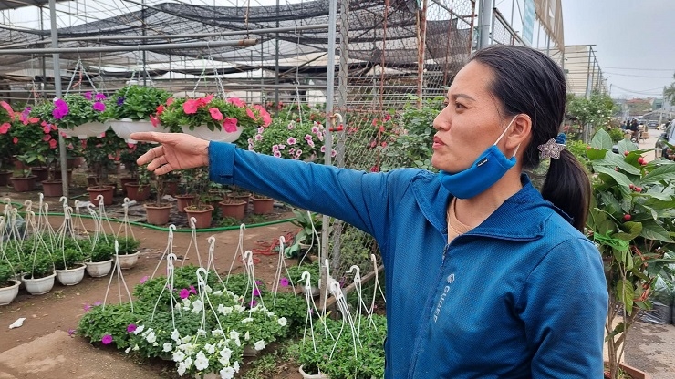Chị Lê Thị Thu, chủ một nhà vườn chia sẻ, cửa hàng mới bán được 2/3 số hoa trong vườn