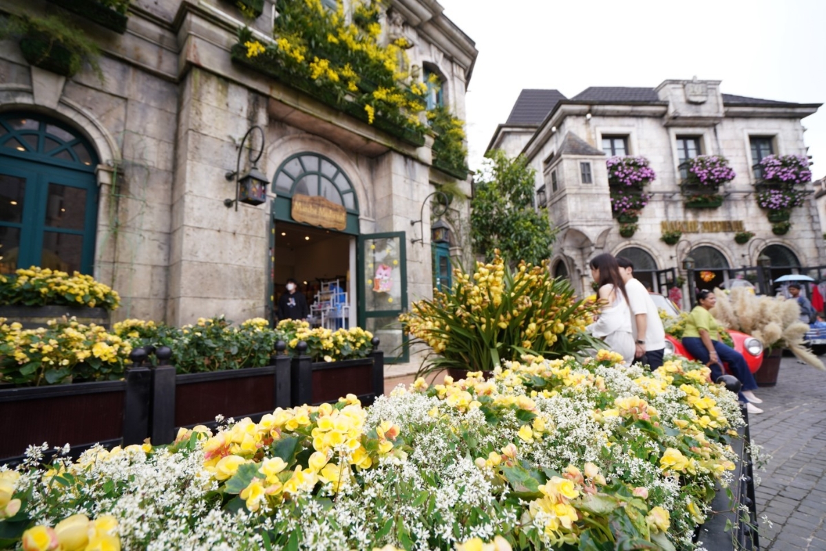 Ngược ra miền Trung, Đà Nẵng là điểm đến được nhiều du khách lựa chọn. Khu du lịch Sun World Ba Na Hills được bao phủ bởi vạn sắc hoa xuân: đào chuông tươi thắm, tulip rực rỡ… mang đến một hành trình du ngoạn ngập tràn sắc hương trên đỉnh Núi Chúa.