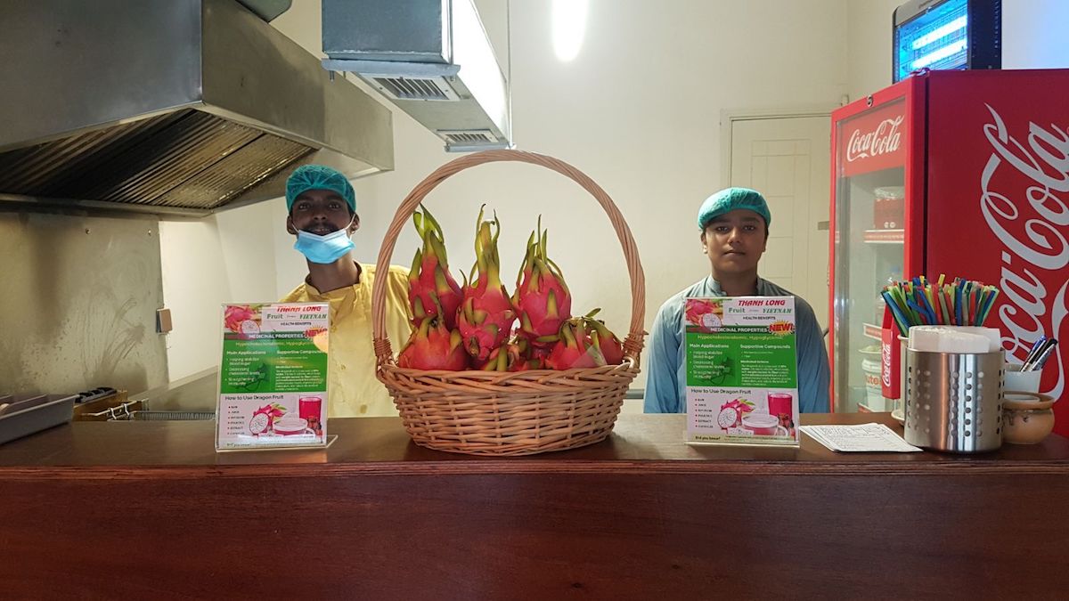 Thanh long đang là mặt hàng được đẩy mạnh xuất khẩu sang thị trường Pakistan.