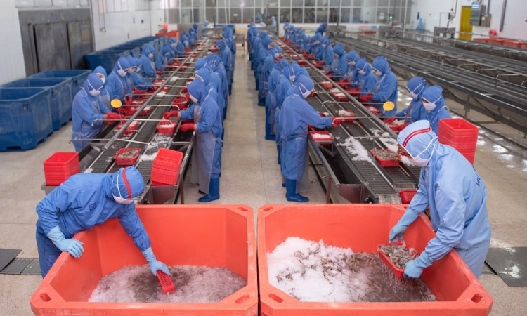 ‘Bức tranh’ xuất khẩu thuỷ sản chưa thể bừng sáng ngay