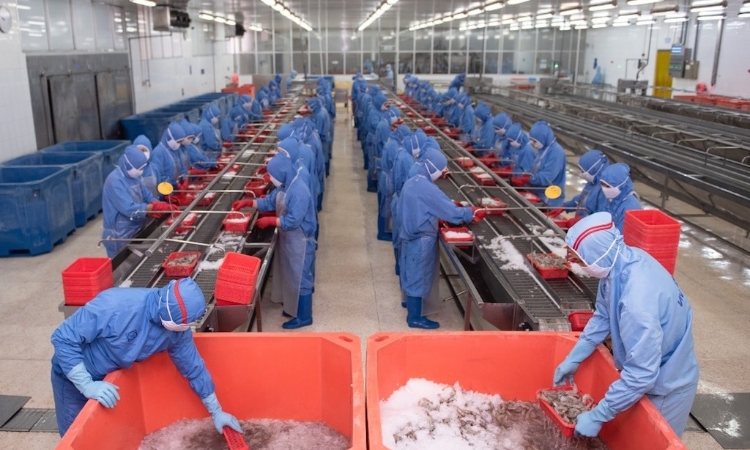 ‘Bức tranh’ xuất khẩu thuỷ sản chưa thể bừng sáng ngay