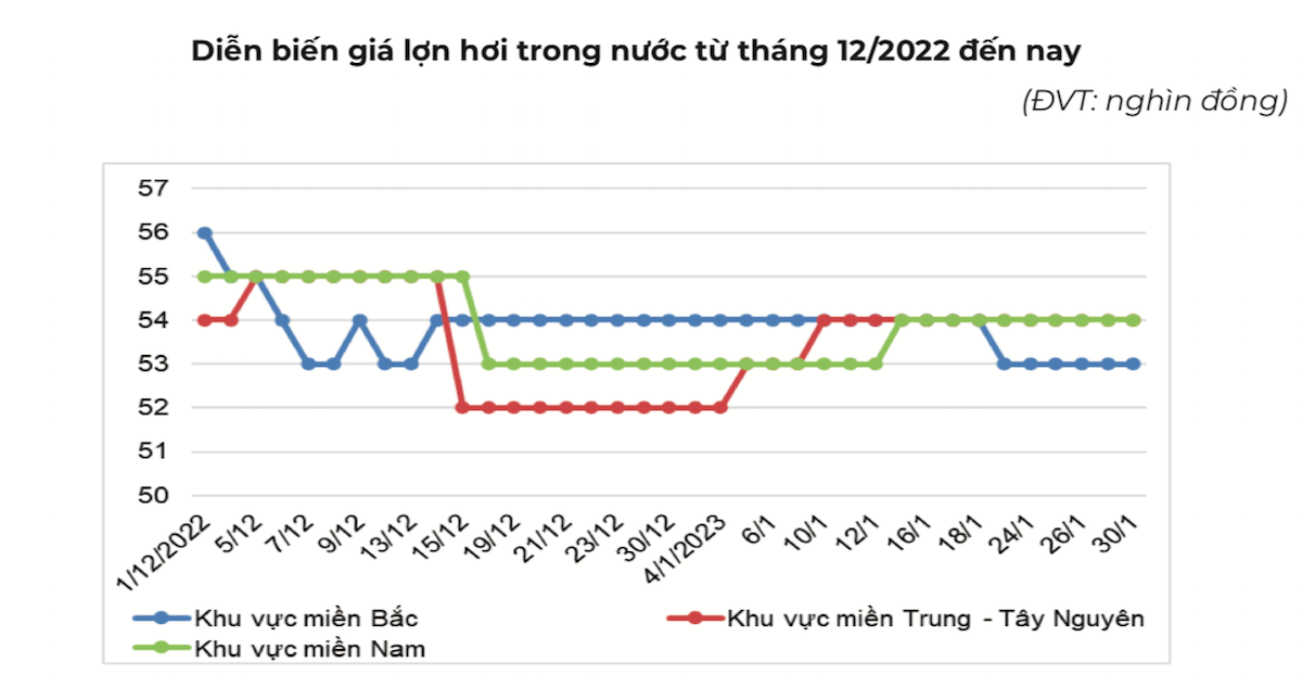 Diễn biến giá heo hơi từ tháng 12/2022 đến nay.