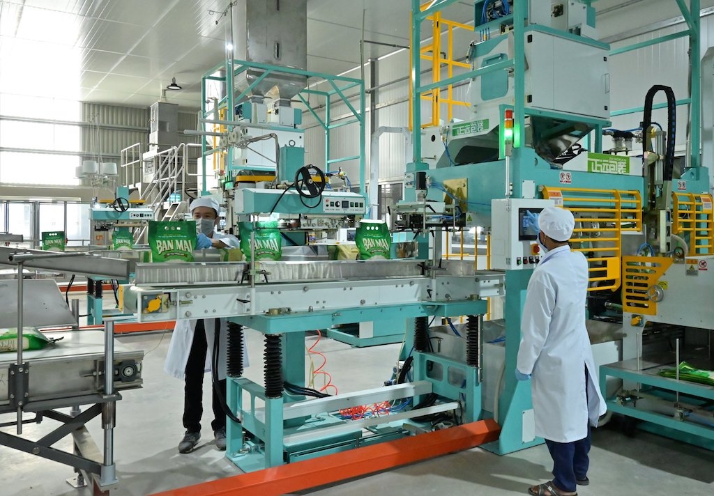 Giá gạo đang tăng cao thể hiện hướng đi đúng trong việc chuyển hướng tăng cường sản xuất và XK gạo chất lượng cao.