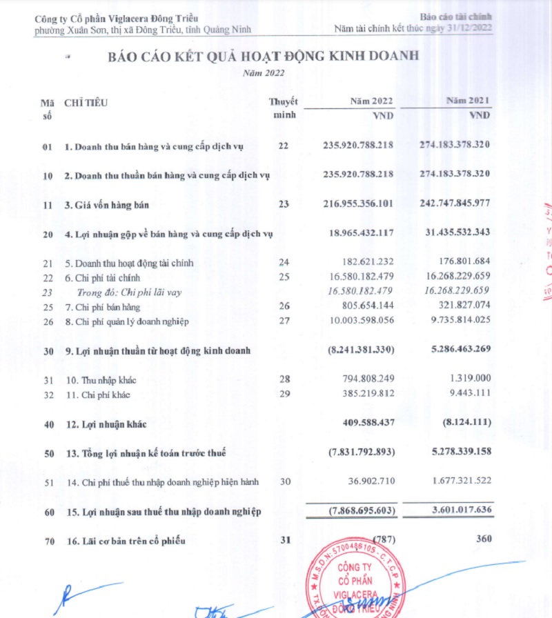 Báo cáo tài chính năm 2022 của Viglacera Đông Triều.
