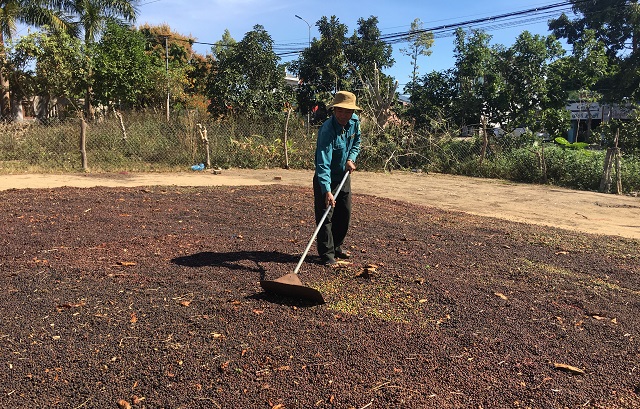 Nhiều hộ thành viên đã chuyển đổi cơ cấu cây trồng vươn lên làm giàu, ổn định cuộc sống.