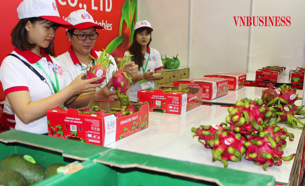 Những khúc mắc về bản quyền giống cần có sự tham gia tích cực của cơ quan quản lý trong việc tháo gỡ các vướng mắc nhằm tránh hệ lụy tiêu cực cho xuất khẩu rau quả.