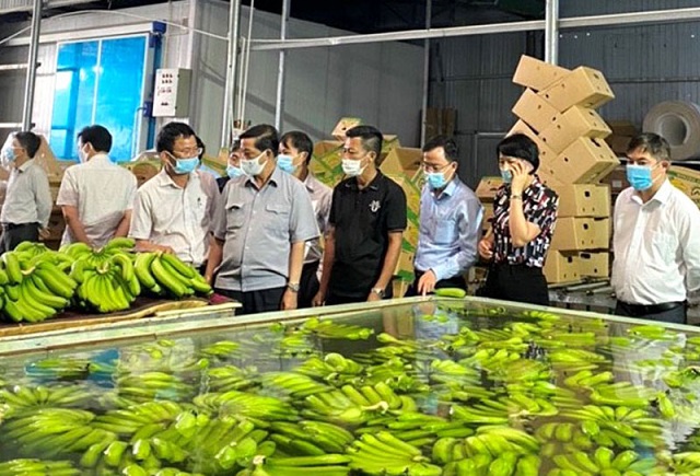 HTX đã giúp gia tăng giá trị sản xuất trên cùng đơn vị diện tích canh tác, nâng cao thu nhập người nông dân.