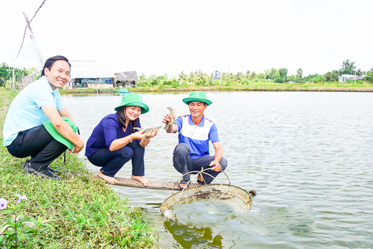 Mỹ Xuyên đang nhân rộng thành công nhiều mô hình kinh tế điểm, hiệu quả cao (Ảnh: Tích Chu/BST).
