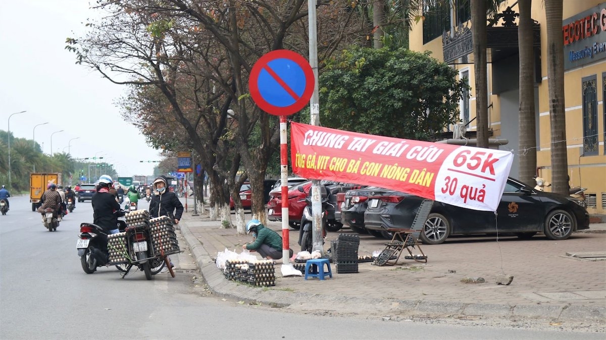 Việc tùy tiện sử dụng từ giải cứu có thể ảnh hưởng tới giá nông sản.