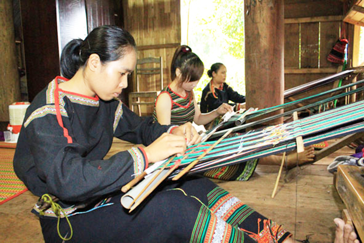 Phát triển sản xuất gắn với du lịch trải nghiệm giúp HTX nâng cao thu nhập cho thành viên.