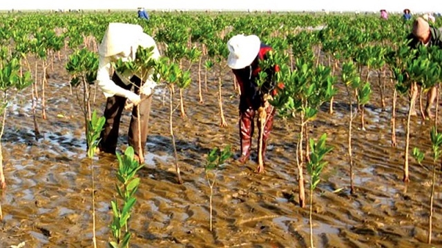 Nhiều HTX đã giúp bà con thành viên từng bước thay đổi nếp nghĩ, cách làm.