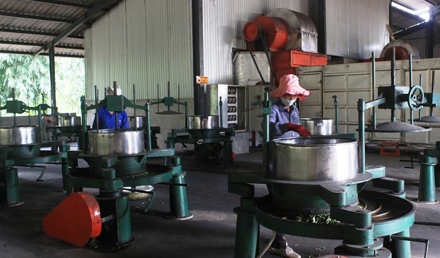 Chính quyền địa phương đang đồng hành cùng HTX xây dựng các tiêu chuẩn an toàn vệ sinh thực phẩm vào sản xuất, chế biến.