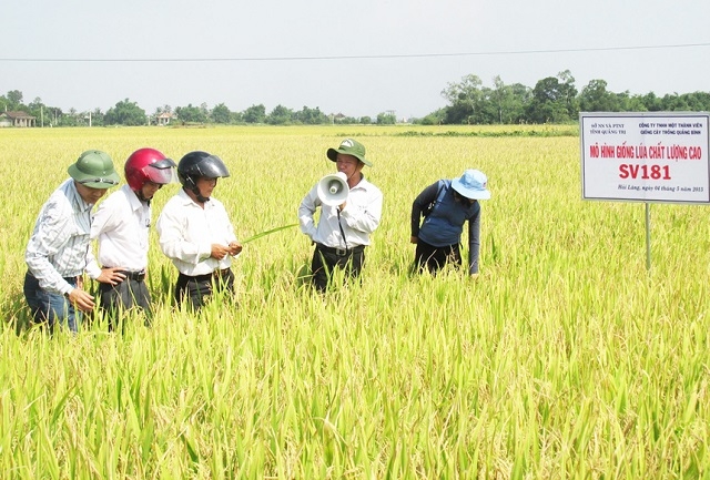 Các HTX đã và đang nhân rộng mô hình sản xuất hữu cơ, đem lại hiệu quả vượt trội.