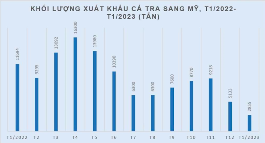Xuất khẩu cá tra sang thị trường Mỹ giảm mạnh.