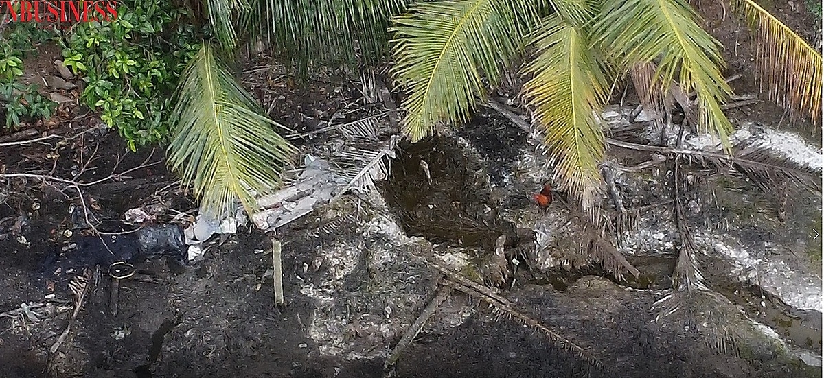 Hệ thống ống ngầm dẫn chất thải chảy ra phía bờ sông và khu vực bờ sông luôn sình lầy chất thải từ bể phốt thải ra.