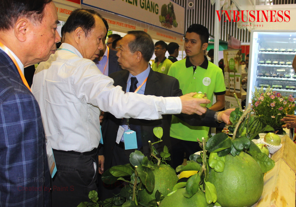 Các nhà thu mua của Trung Quốc thường “soi” vào chất lượng và tiêu chuẩn của trái cây Việt nhằm phục vụ thị trường của họ.