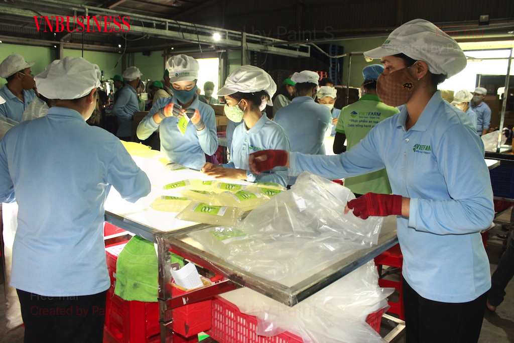 Các DN xuất khẩu đang cần thêm những “liều thuốc” hỗ trợ (đặc biệt là khâu chính sách) để có thể tiếp tục nỗ lực vượt khó.