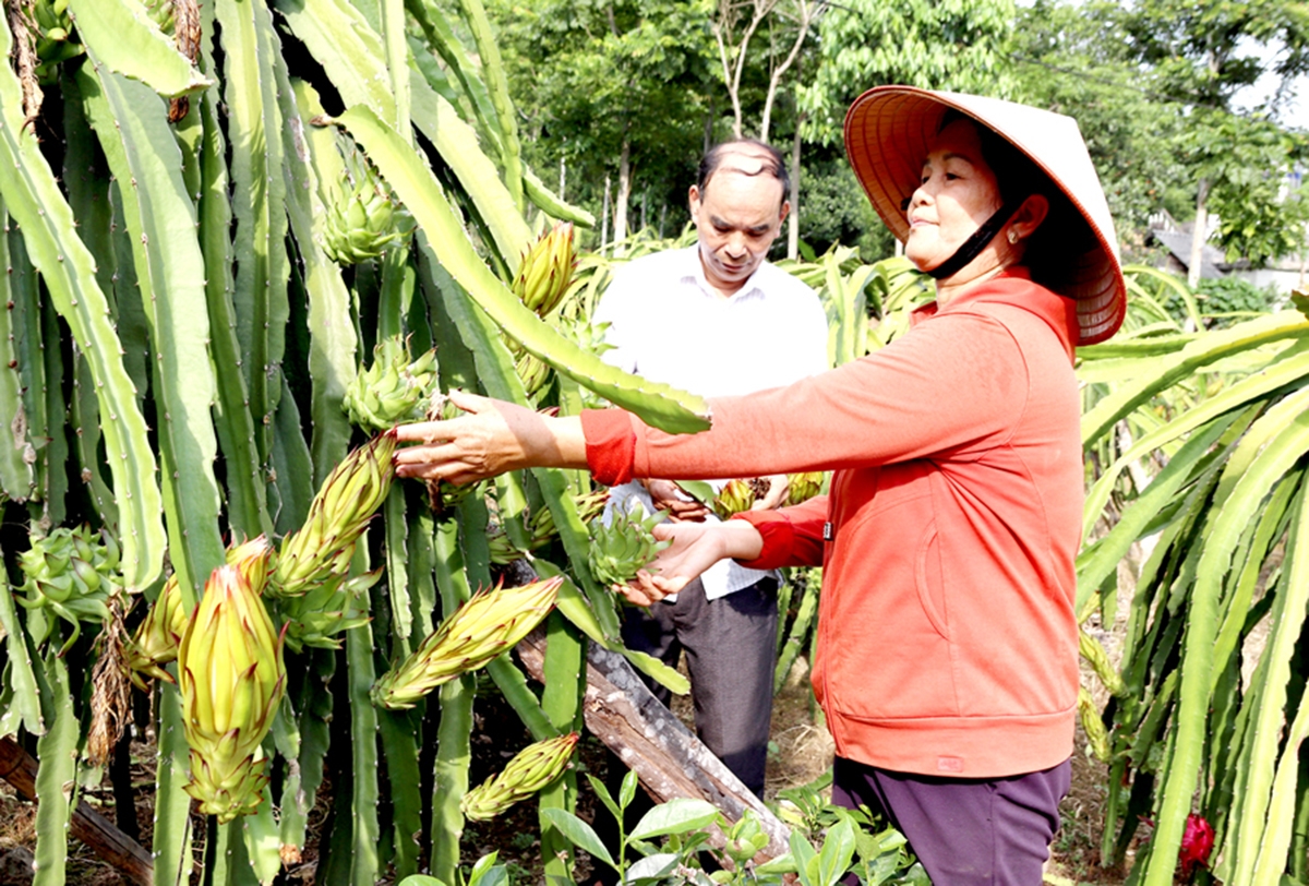 Nông thôn mới huyện Bắc Quang đang có những thay đổi toàn diện nhờ chú trọng phát triển sản xuất .