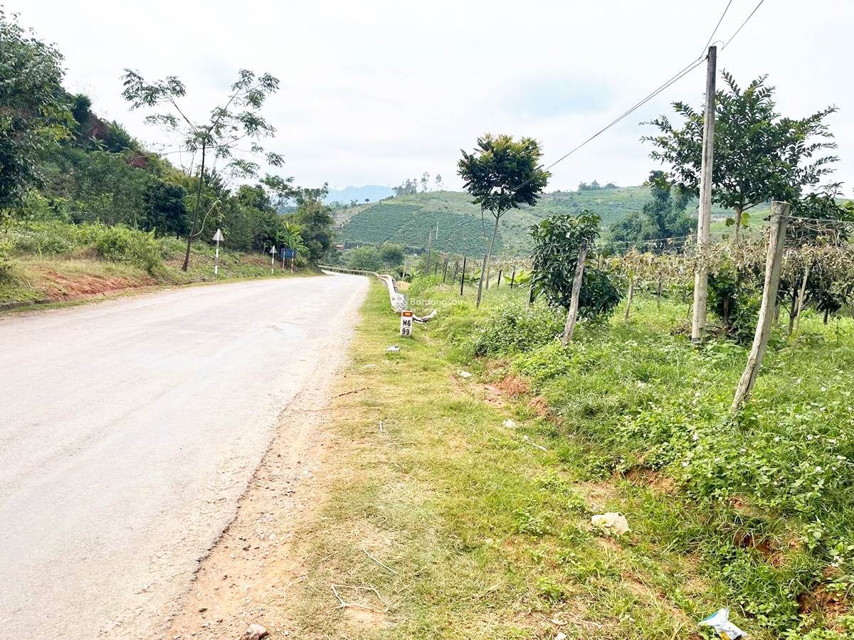 Nhờ ăn theo các dự án hạ tầng, đất nền Mộc Châu đang neo cao bất chấp thị trường giao dịch ảm đạm (Ảnh: T.Tuyền).