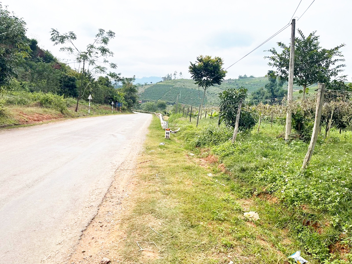 Nhờ ăn theo các dự án hạ tầng, đất nền Mộc Châu đang neo cao bất chấp thị trường giao dịch ảm đạm (Ảnh: T.Tuyền).
