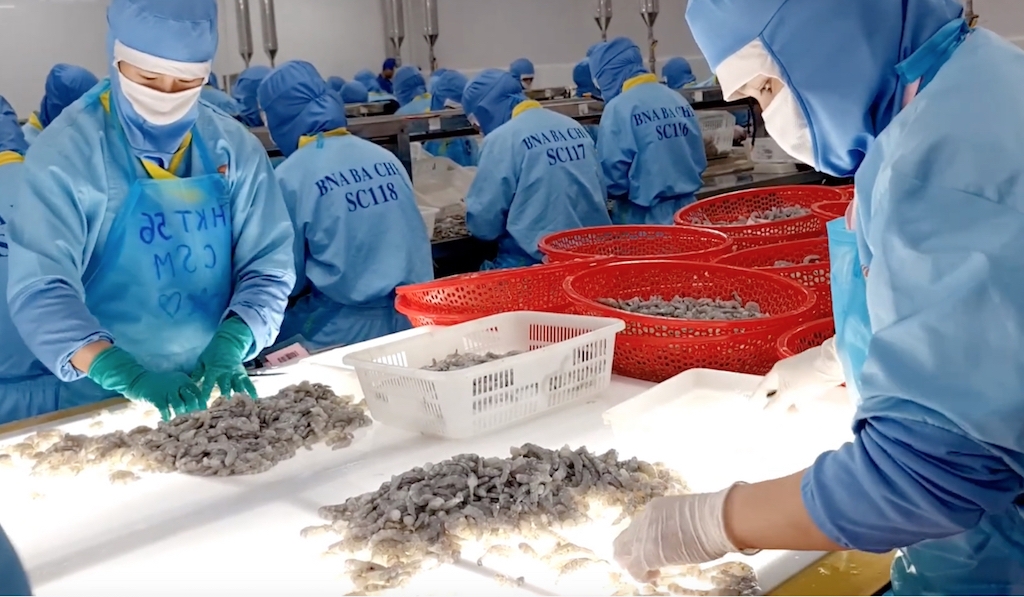 Các DN xuất khẩu tôm nếu lấy thị trường Mỹ làm chủ lực thì khó khăn với họ sẽ rất lớn trong năm nay.