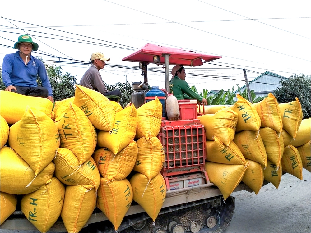 Nhờ có những chính sách thiết thực, KTTT, HTX đang ngày càng khẳng định vai trò của mình trong công tác xóa đói giảm nghèo ở địa phương.