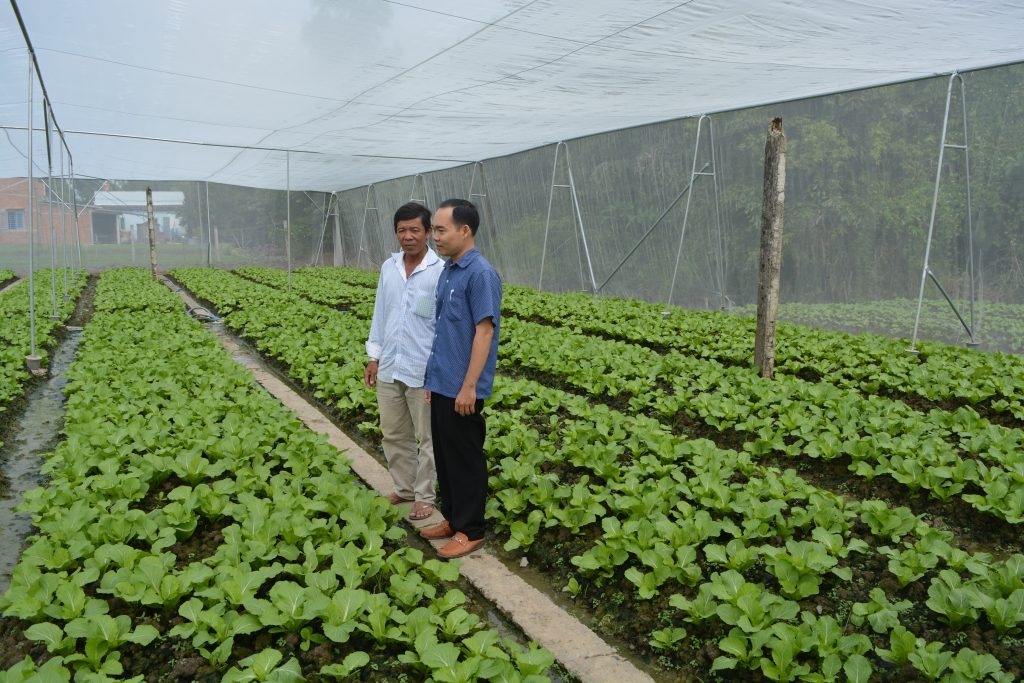 Nhiều HTX vẫn gặp khó khăn trong chuyển đổi số đồng bộ.