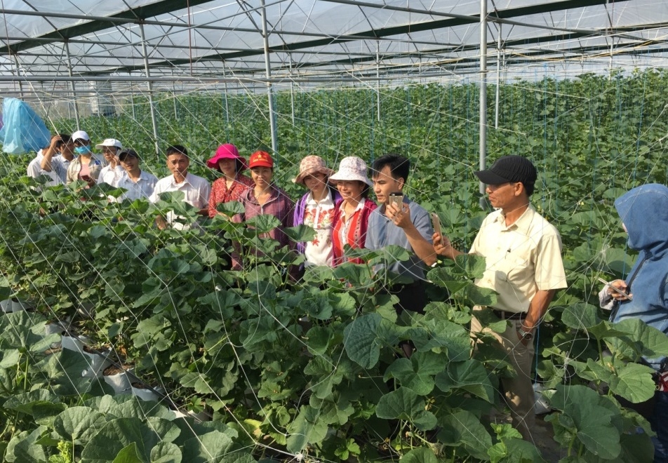 Ứng dụng công nghệ giúp nông dân giảm chi phí, gia tăng giá trị sản xuất (Ảnh: TL).