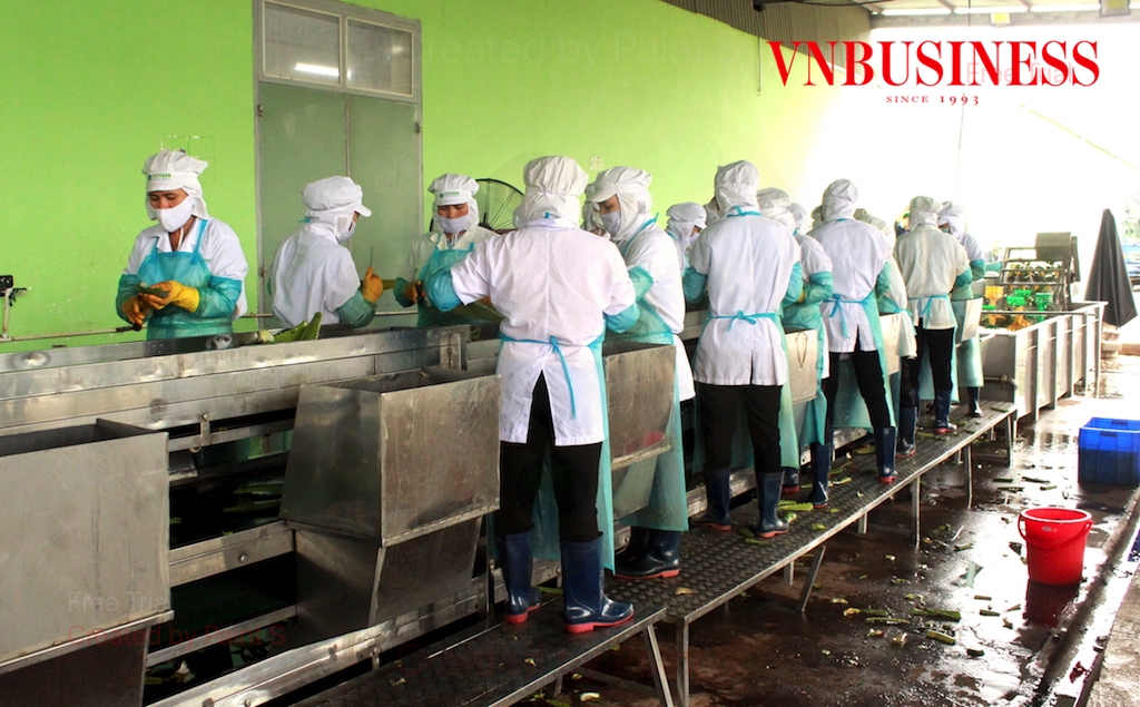 Giữa khó khăn về đầu ra đang đòi hỏi các DN xuất khẩu cần tận dụng hiệu quả hơn nữa các FTA.