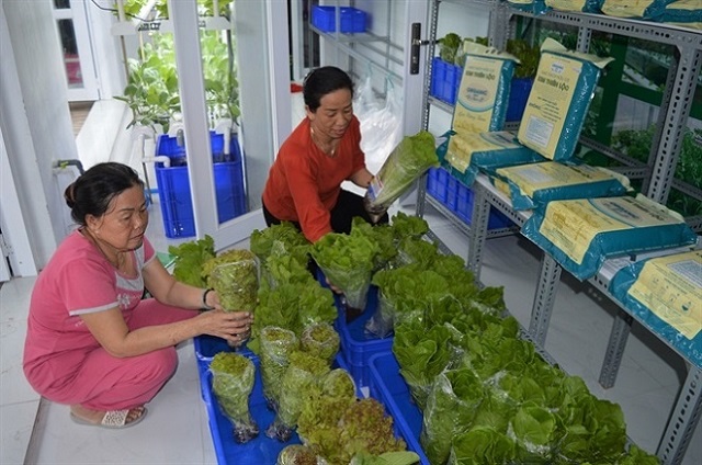 Sản xuất nông nghiệp hữu cơ giúp tiết kiệm chi phí, nâng cao hiệu quả sản xuất, ổn định đời sống thành viên.