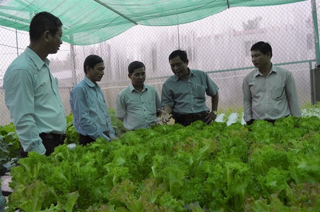 Nhiều mô hình HTX ứng dụng nông nghiệp hữu cơ đã giúp nâng cao thu nhập cho thành viên HTX, thực hiện được mục tiêu xóa đói, giảm nghèo.