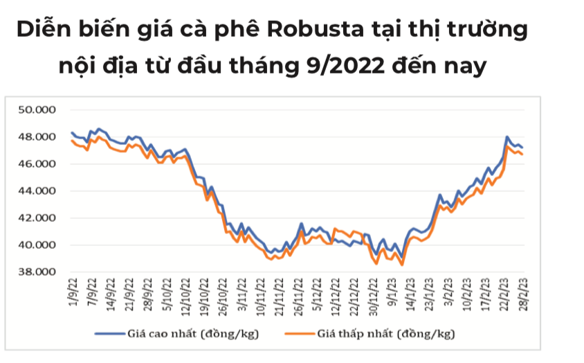 Giá cà phê có xu hướng tăng trong thời gian gần đây.