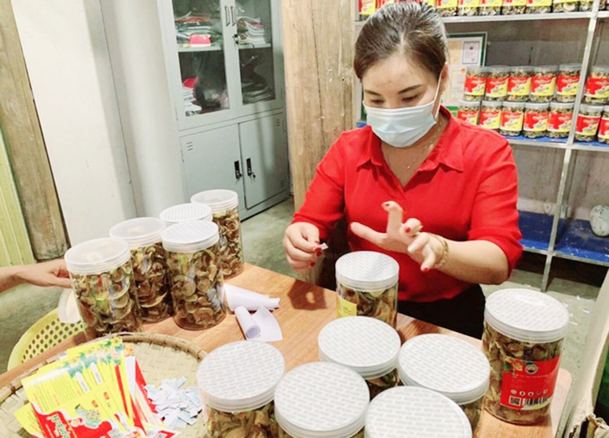 Cần chính sách hỗ trợ thiết thực hơn để các HTX phát huy vai trò trong thúc đẩy kinh tế, tạo việc làm &lpar;Ảnh: TL&rpar;.