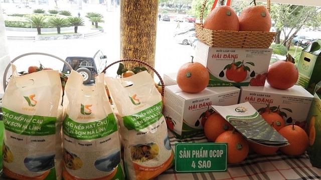 Chương trình OCOP góp phần quan trọng vào sự phát triển kinh tế khu vực nông thôn tỉnh Thanh Hóa.