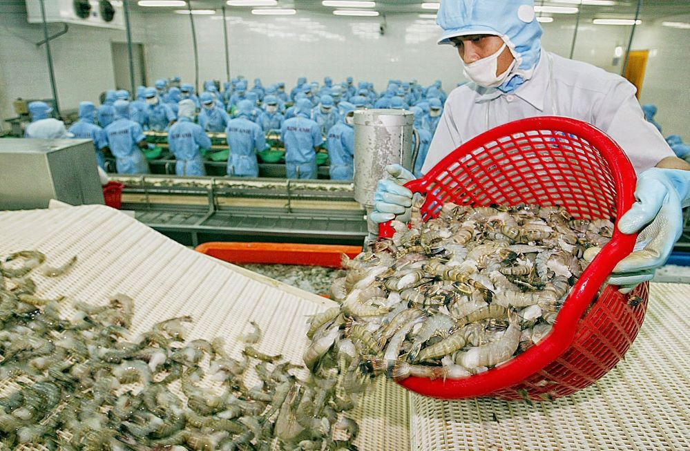 Thị phần tôm của Việt Nam chiếm 5% tại thị trường Mỹ, dự báo nhập khẩu tôm Việt Nam khởi sắc hơn vào tháng 5 tới (Ảnh minh họa: Int)